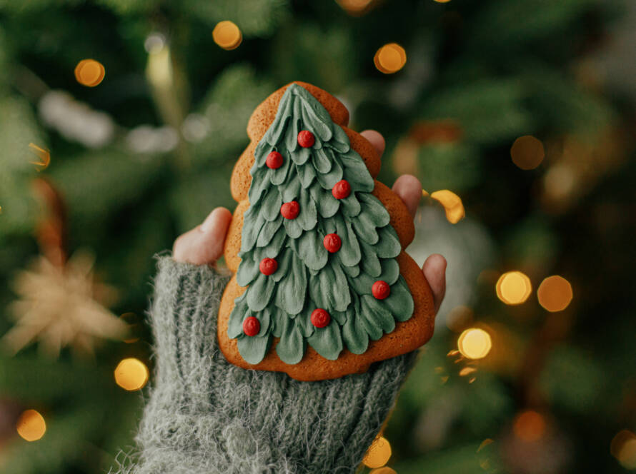 Der Christbaum und seine kurze Vorgeschichte!