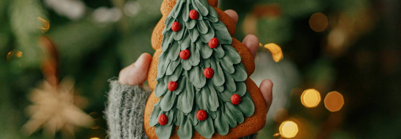 Der Christbaum und seine kurze Vorgeschichte!