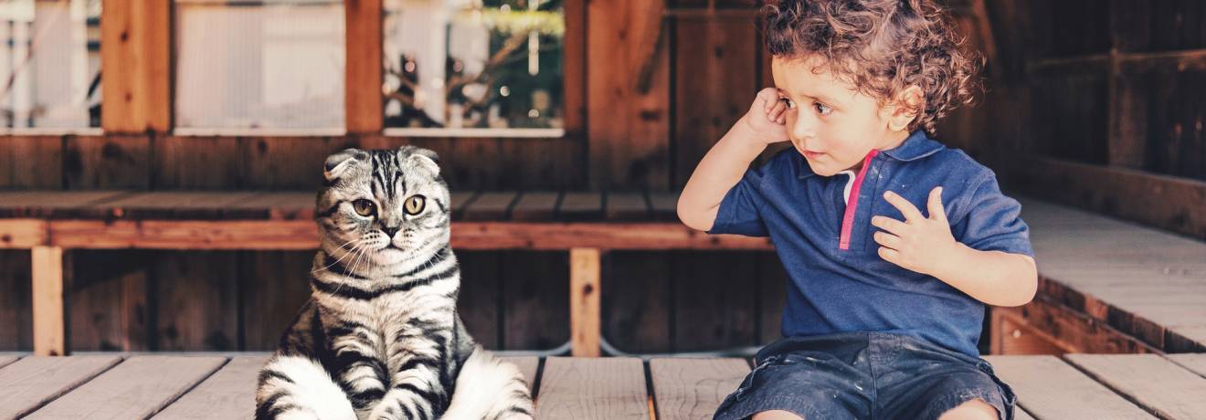 der kater leo wiehnachtsgschichtli.com 1 der kater leo wiehnachtsgschichtli.com 1